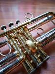 BACH BACH STRADIVARIUS UT